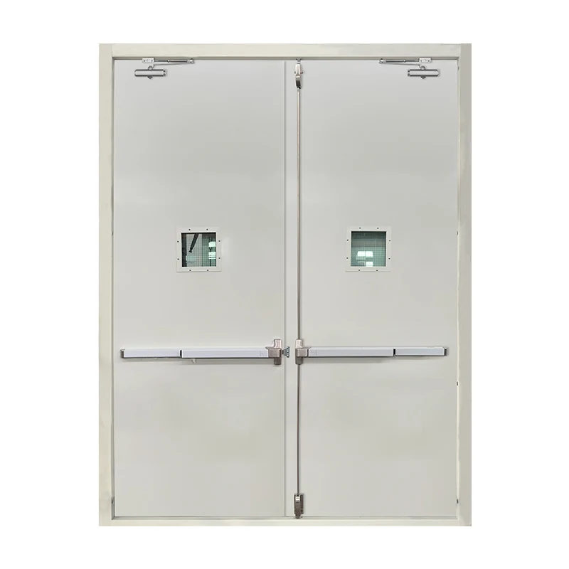 Double-leaf fire-door configuration with vision panels and panic bars